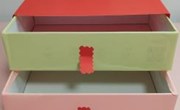 实践润童心，探究启智慧——秦馀小学寒假科学、信息作业成果展